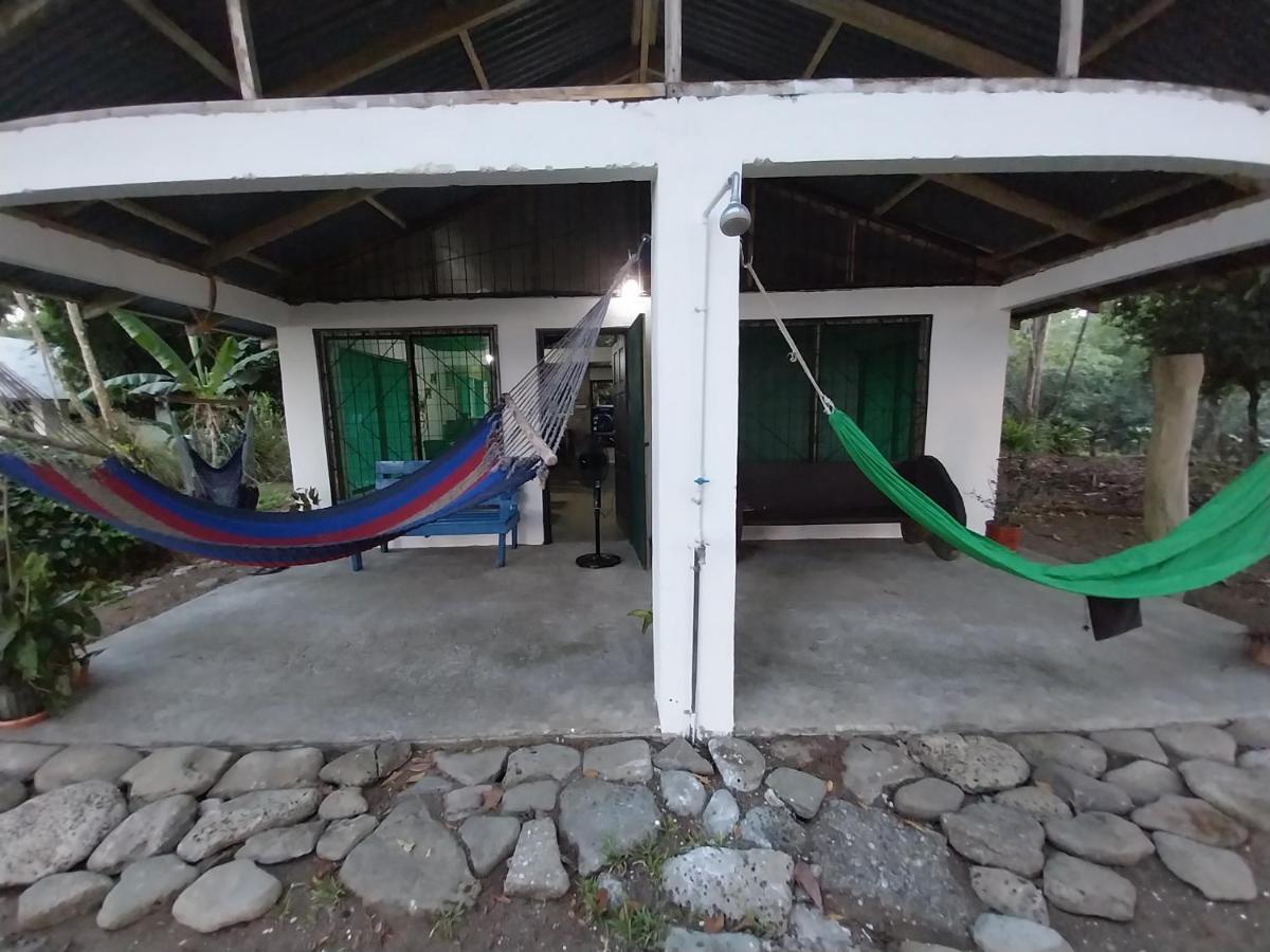 Villa Happy Monkeys Puerto Jiménez Esterno foto