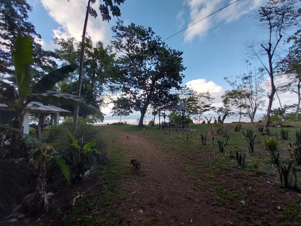 Villa Happy Monkeys Puerto Jiménez Esterno foto