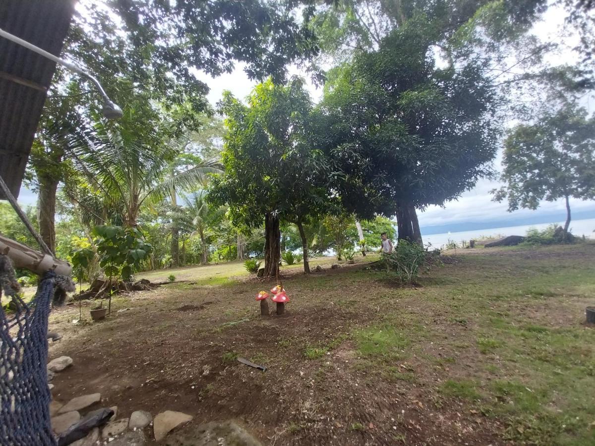 Villa Happy Monkeys Puerto Jiménez Esterno foto